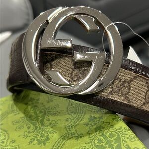 Gucci Brown and Silver Belt